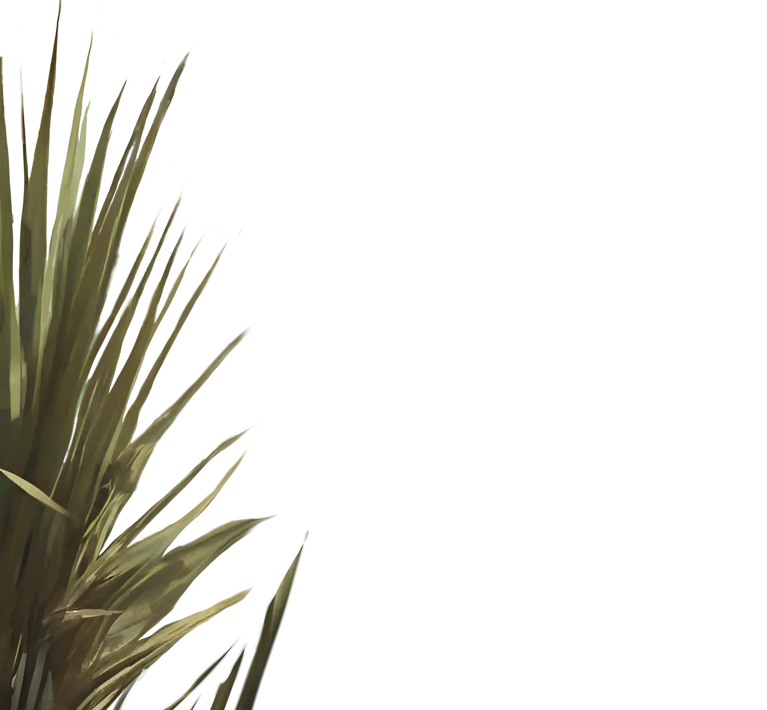 Frida Kahlo Wynwood Residences rendering