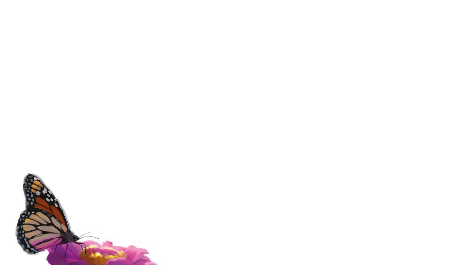 Frida Kahlo Wynwood Residences rendering